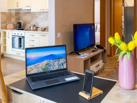 Apartament Clasic - TCI Apartments Cluj-Napoca